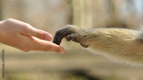 Foto Vertrauen schaffen. Mensch und Natur Konzept.