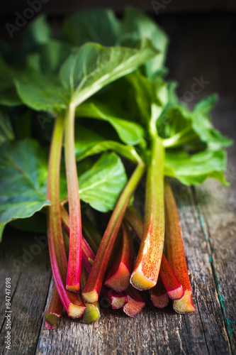 fresh organic rhubarb on wooden background photo