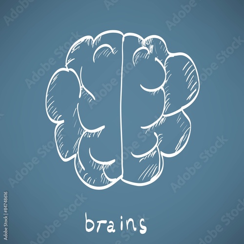 chalk painted brain