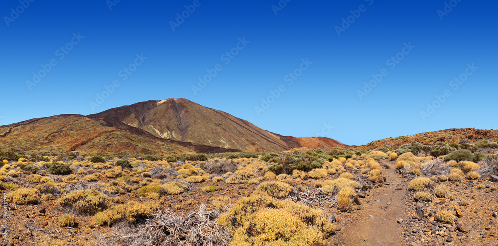 Volcano Teide in Tenerife island - Canary