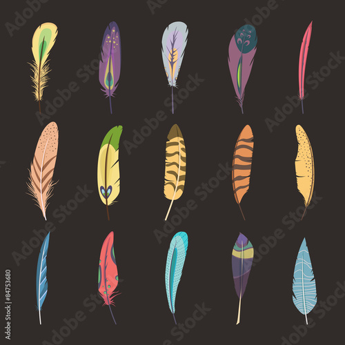 Set of feathers