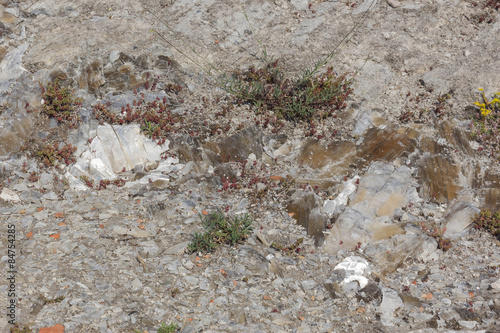 Rocce di Gesso superficiali , Vena del Gesso Romagnola photo