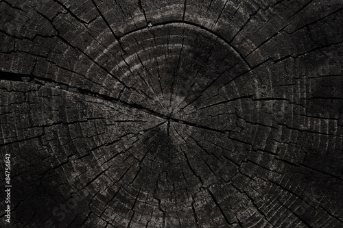 black texture of tree trunk