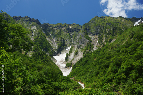 谷川岳の新緑