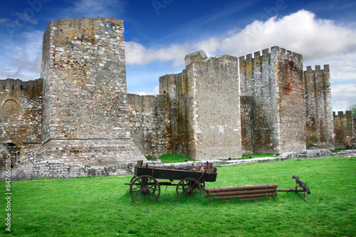 Принти на полотні Smederevo fortress on Danube in Serbia