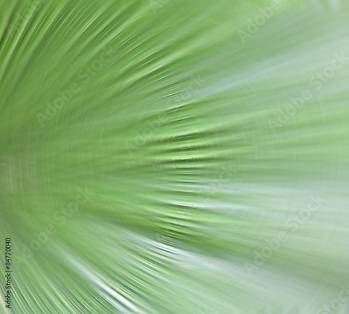 Abstract green background natural form.