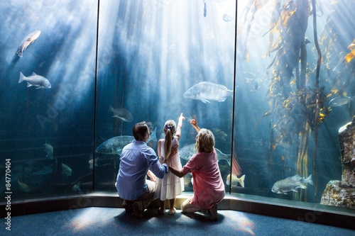 Wear view of family looking at fish tank