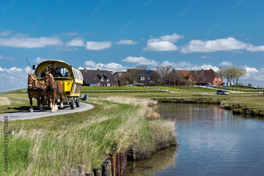 Pferdegespann auf einer Hallig