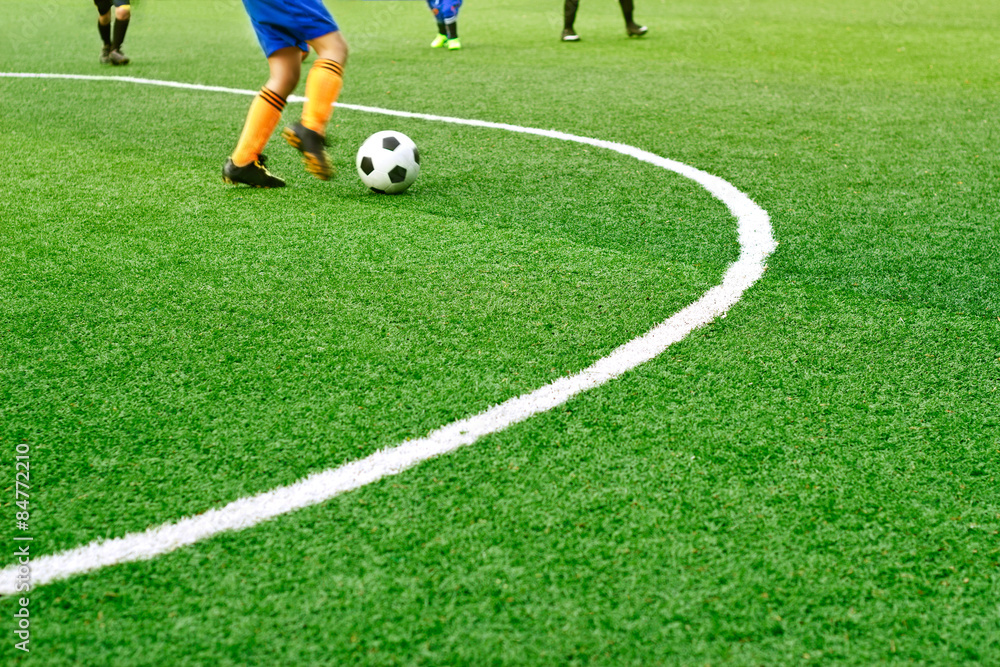Green soccer field grass with white mark line. Green soccer field grass with white mark line.