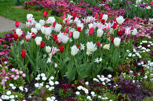 Fototapeta Naklejka Na Ścianę i Meble -  Blumenbeet