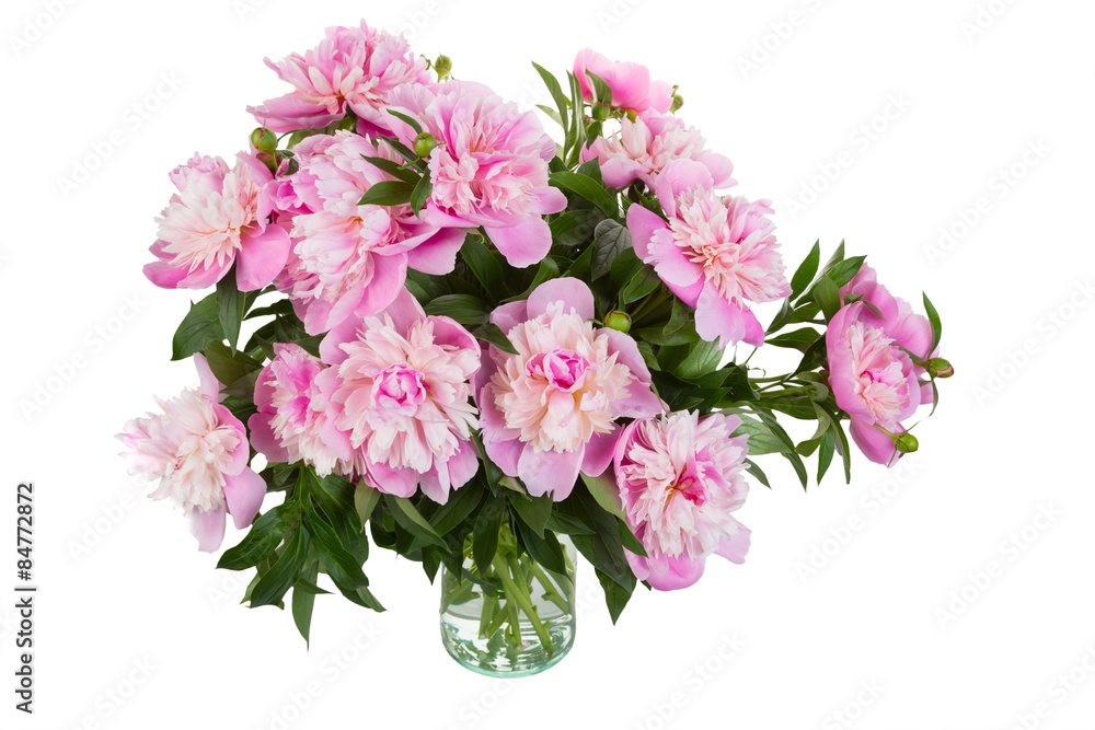 Obraz premium Big bouquet of pink peonies in a transparent vase, it is isolated, a white background
