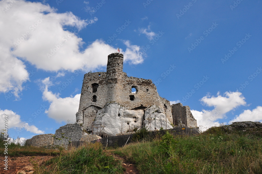 The old castle ruins of Mirow, Poland