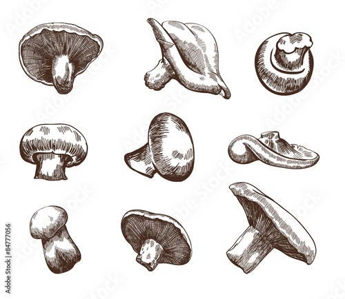 mushrooms