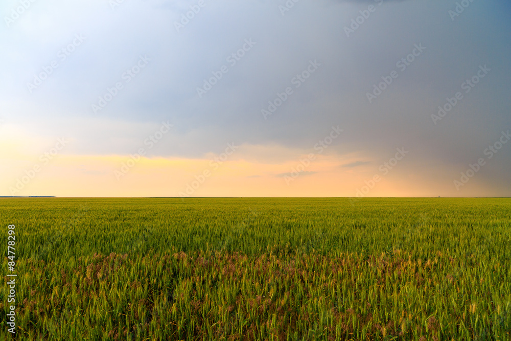 rain clouds on a farm field