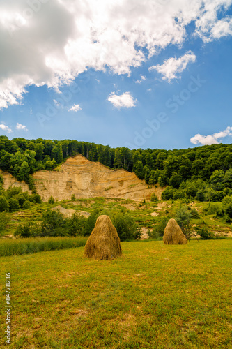 landscape with haystack country in romania