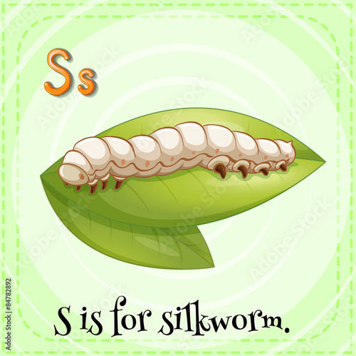 Letter S