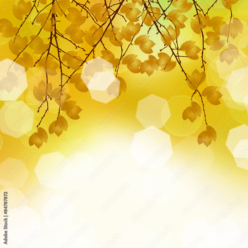 Obraz na plátně Autumn leaves