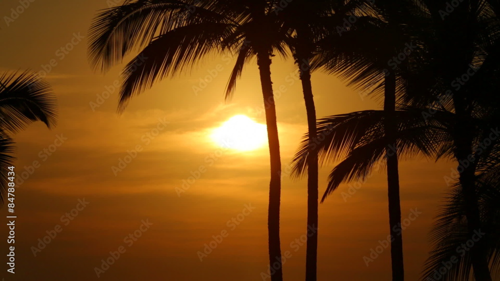 Palm trees at sunset, Big Island, Hawaii Palm trees at sunset, Big Island, Hawaii