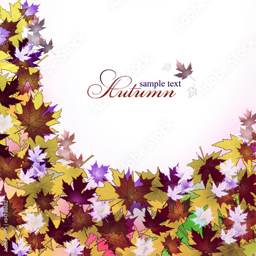 Fotografie Autumn leaves