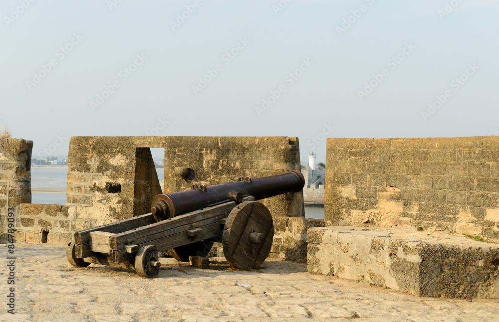 Cannon on walls
