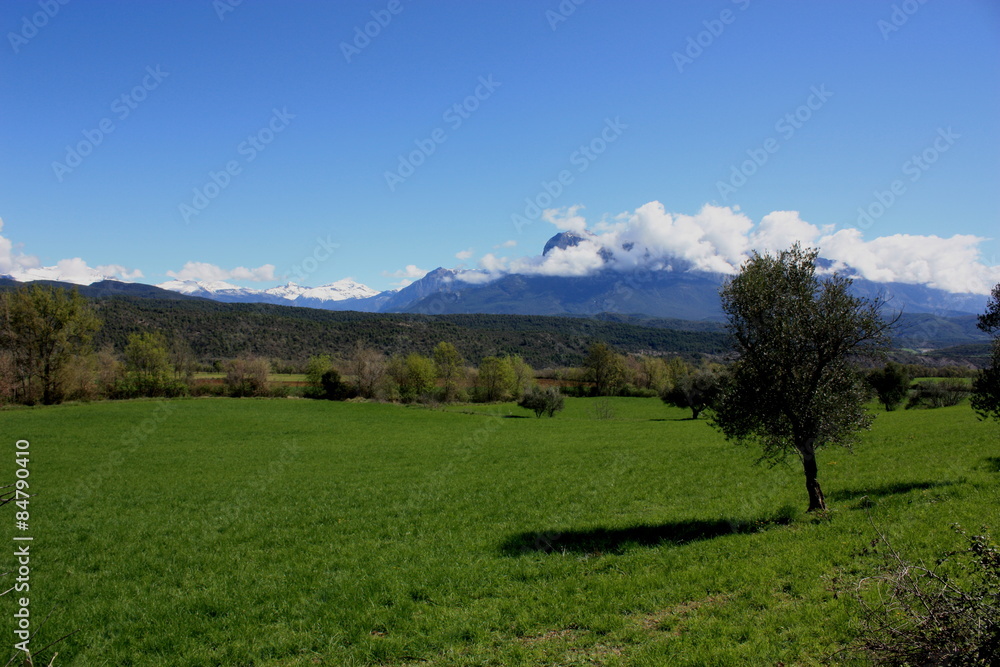 Vista de montaña y árboles, Pirineos, cielo azul, nubes y día soleado
