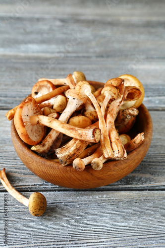 honey agaric in a wooden bowl