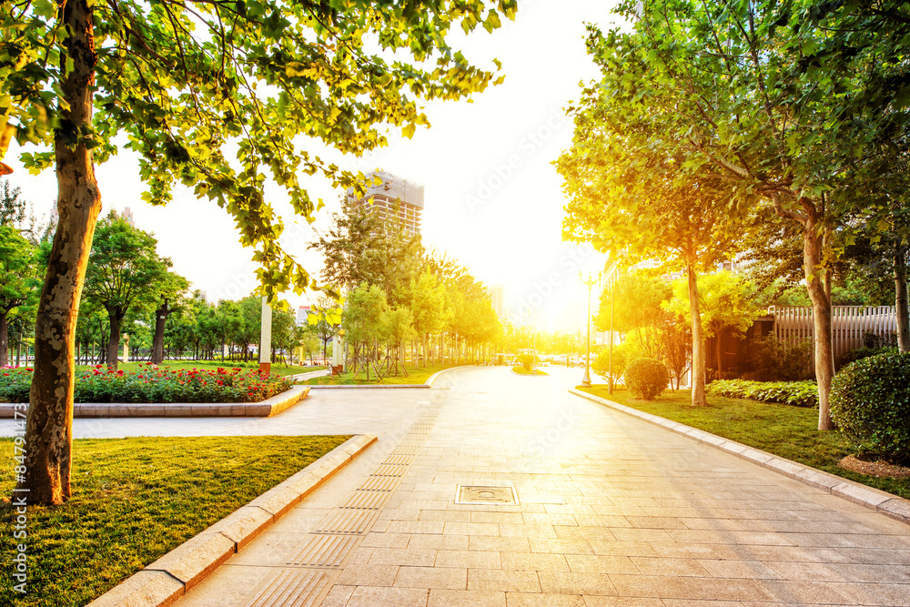 Empty footpath in park