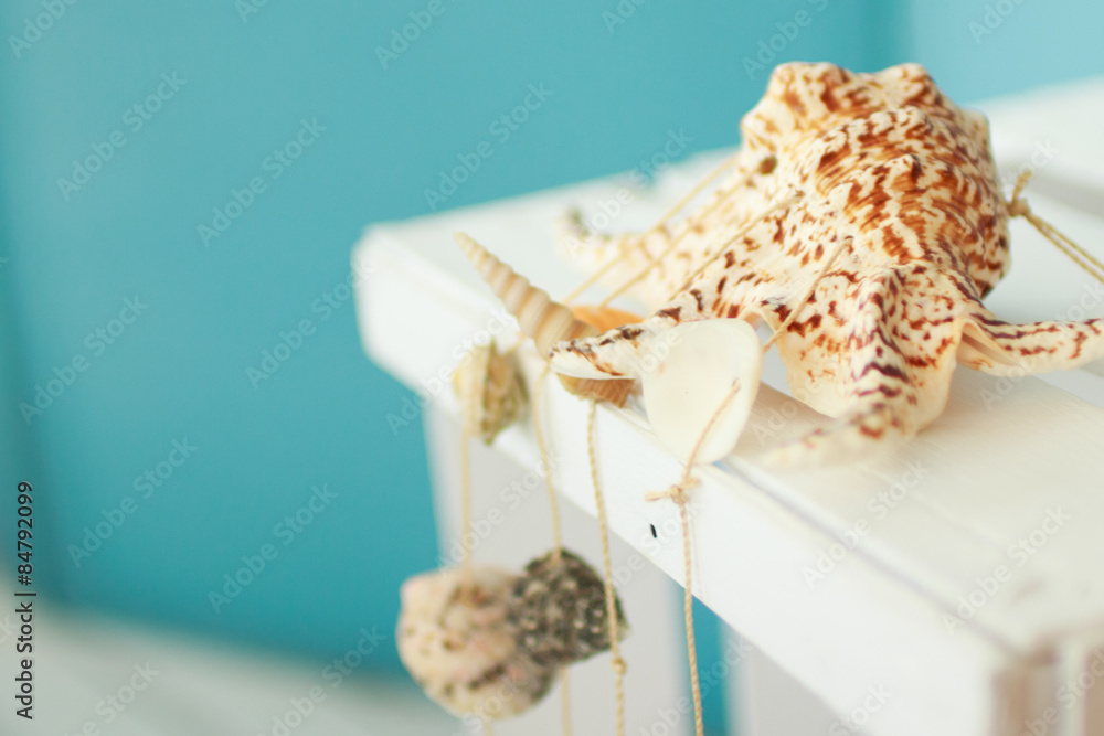 sea shell on a blue background
sea shell on a blue background