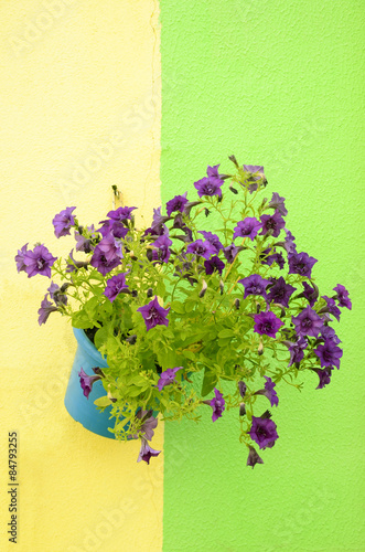 Centro storico e i suoi colori