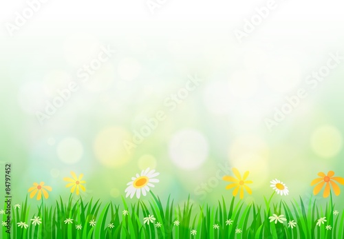 Spring background with light 