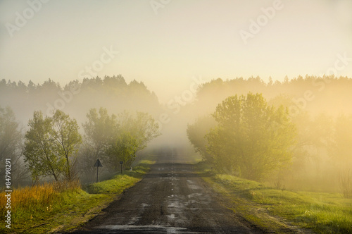дорога уходящая вдаль в тумане на рассвете в лесу