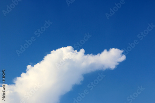 Quadro su tela Big Cloud in the morning that looked like animals.