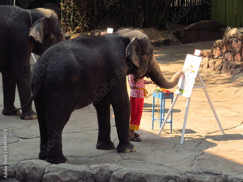 elephant is drawing a picture