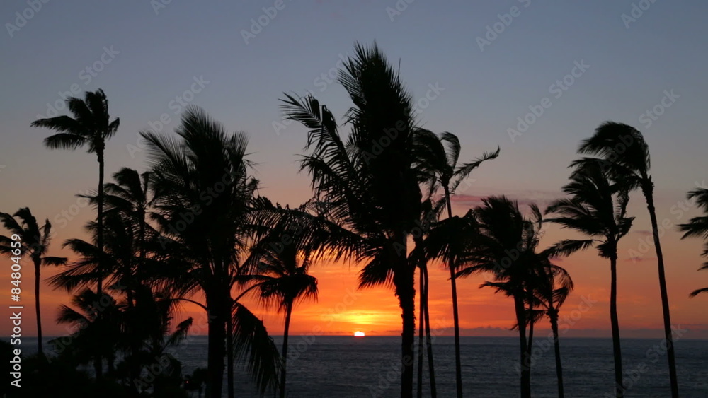 Sunset over the Pacific Ocean with palm trees, Big Island, Hawaii Sunset over the Pacific Ocean with palm trees, Big Island, Hawaii