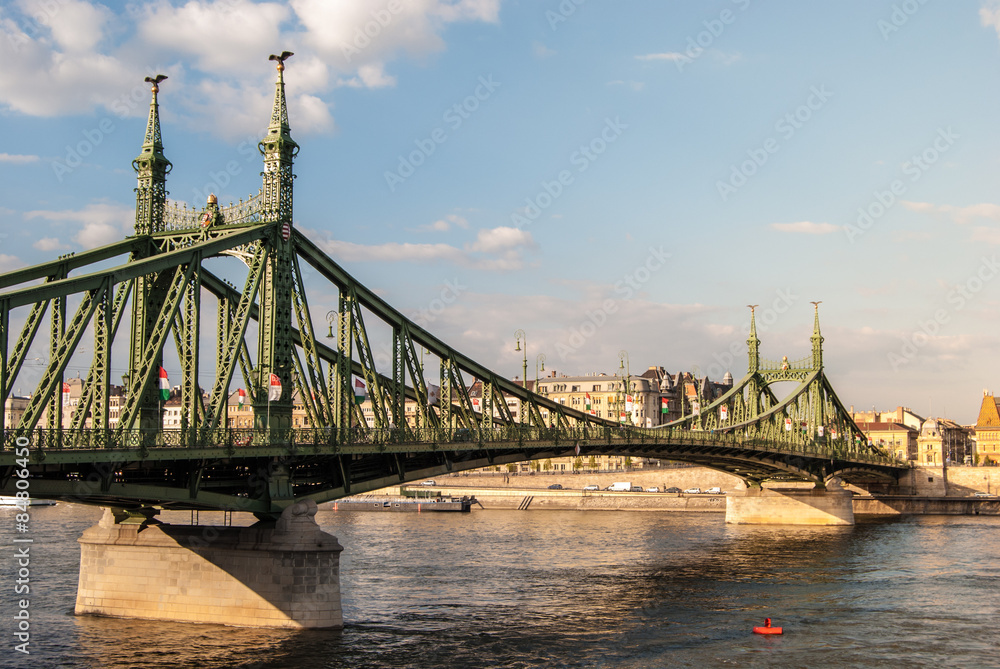 Obraz premium Liberty Bridge in Budapest