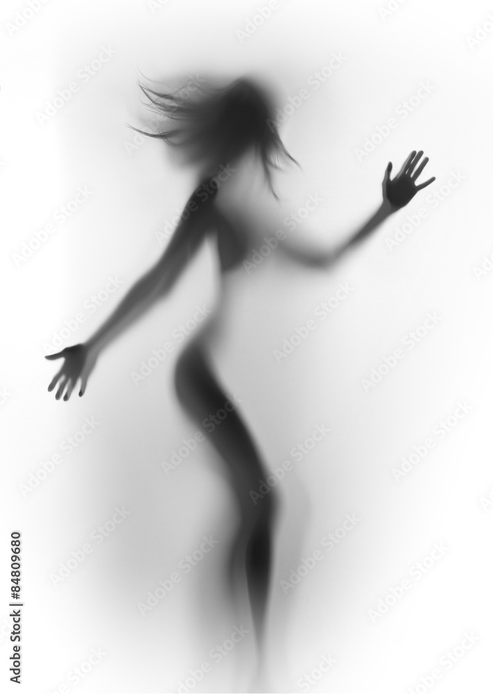 Diffuse silhouette of a beautiful woman, with long hair and hands Diffuse silhouette of a beautiful woman, with long hair and hands