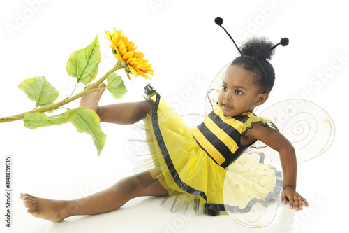 Bumble Bee Down © Glenda Powers