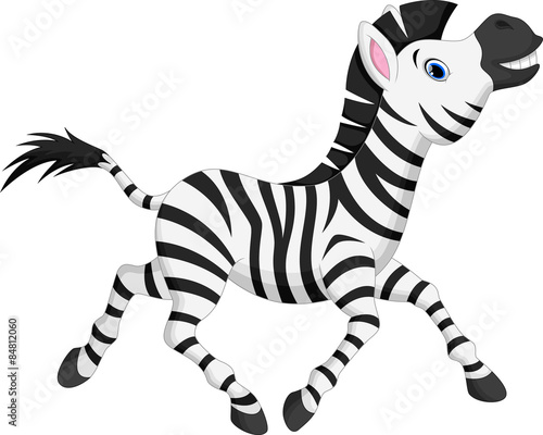 Cute zebra cartoon