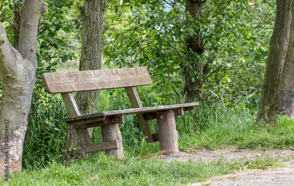 bench / Wooden bench with trees in the background bench / Wooden bench with trees in the background