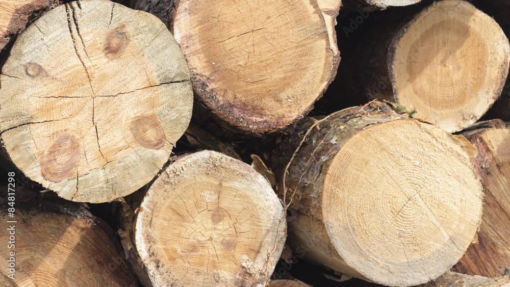 Pile of logs at a forestry plant. Pile of logs at a forestry plant.