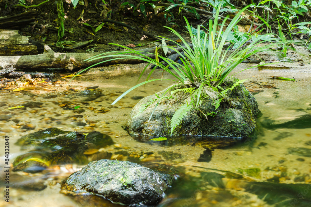 Green grass on stone in stream. Green grass on stone in stream.