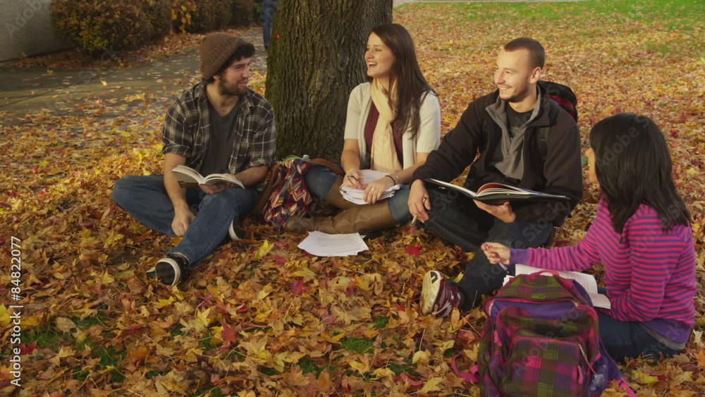 College sitting outdoors studying in the autumn College sitting outdoors studying in the autumn