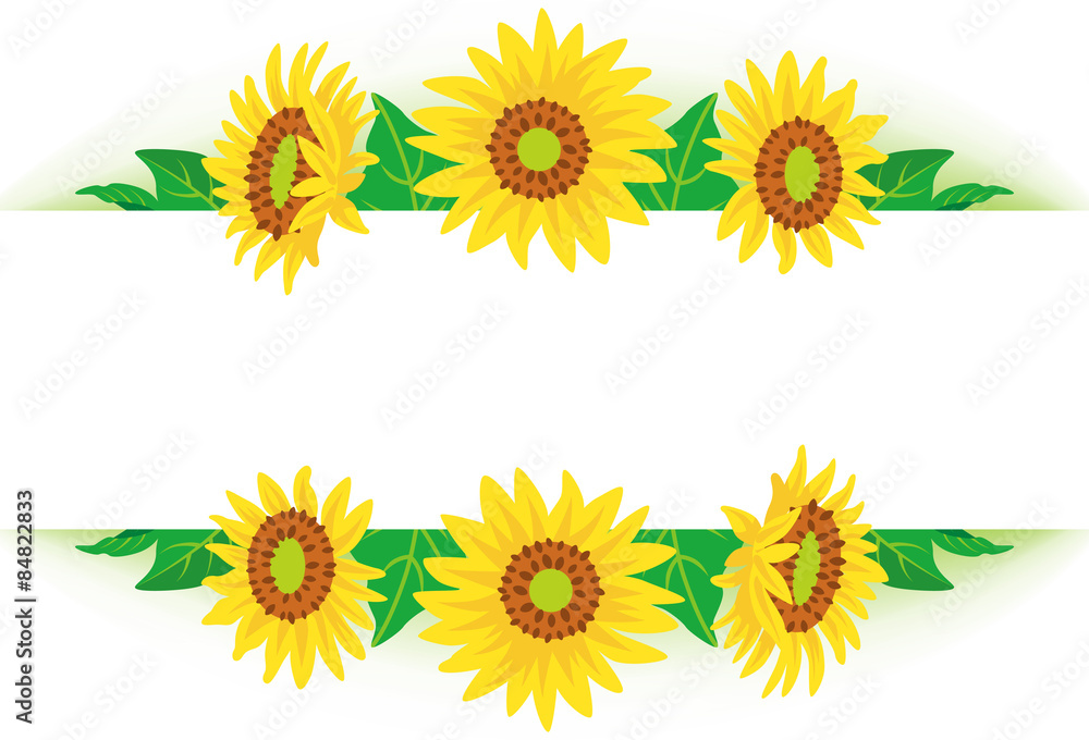 Sunflower frame Sunflower frame