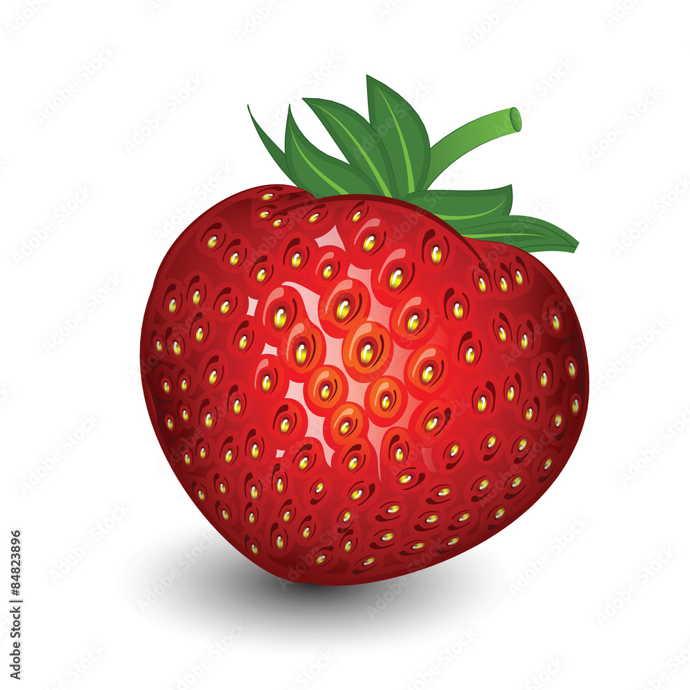 Obraz premium Strawberry Slice with leaves isolated on white background, vector