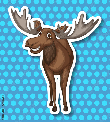 Moose