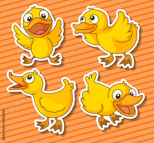 Ducklings