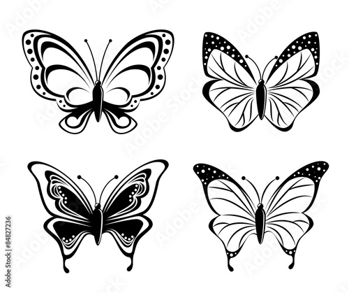 Butterfly design. © Gstudio