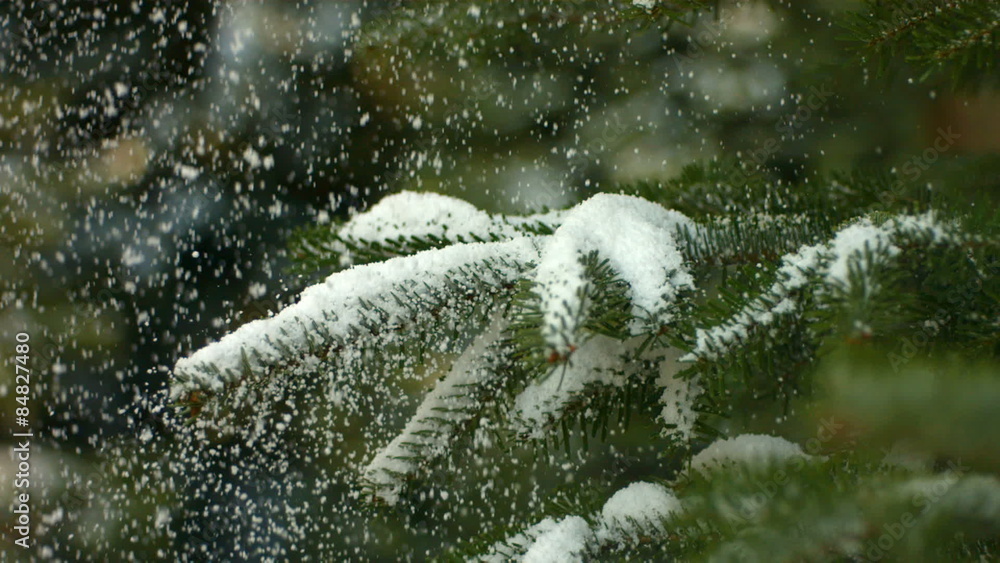 Snow falling on Christmas tree