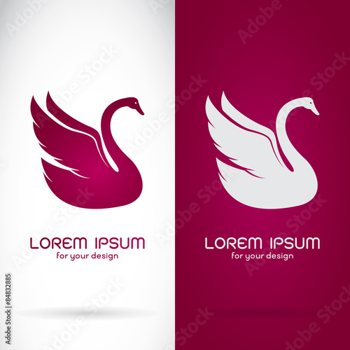 Vector image of an swan design on white background and purple ba