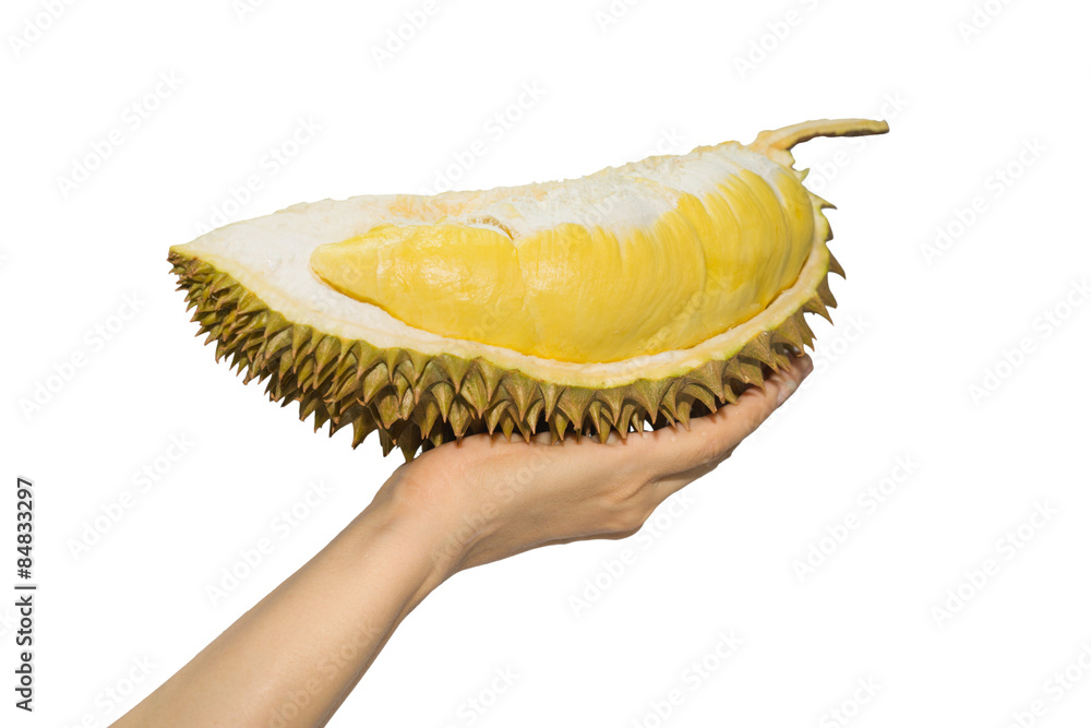 Naklejka premium Durian